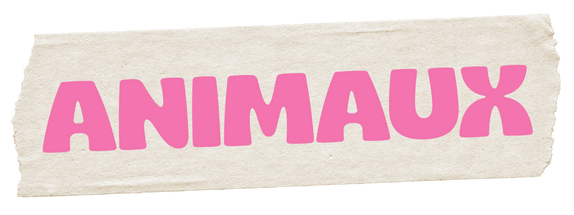 Photographe en Auvergne, Madison Dubois capture vos moments en famille, couple, mariage ou animaux, avec douceur et authenticité.